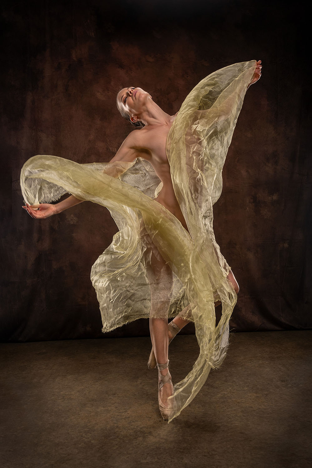 Davis Photo Arts Boudoir Portfolio Thumbnail